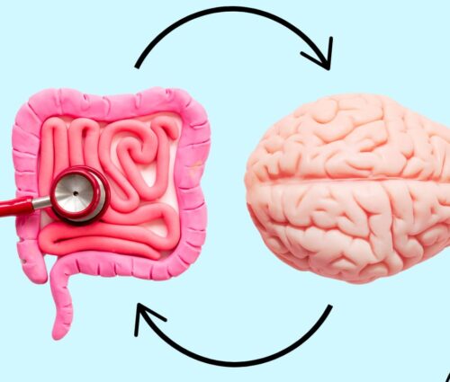 WhatsApp Image 2026-01-26 at 10.53.41 AM WhatsApp Image 2026-01-26 at 10.53.41 AM